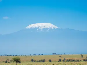 Amanya Double Pitch Tent with Mt Kilimanjaro View
