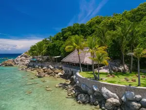 View Point Resort