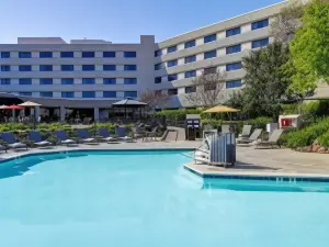 普萊森頓俱樂部希爾頓逸林酒店