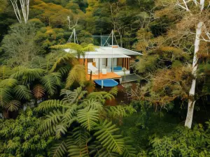 Amazon Glamping Coliving Ecuador