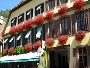 Hotel Spa Restaurant Au Cheval Blanc