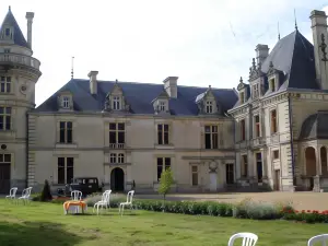 Château de la Court d'Aron