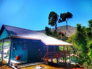 Hill Valley Farm House