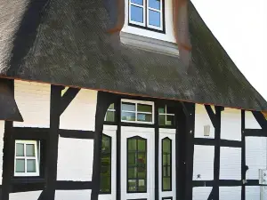 Schleisicht