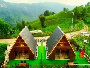 Armola Bungalov