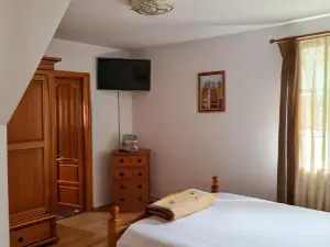 Pensiunea Cabana Viselor