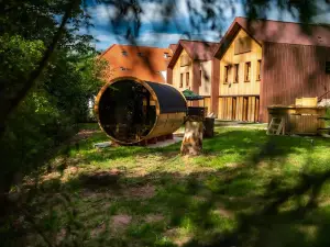 Logis Hôtel Altitude et Spa Pierre-Percée