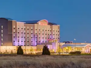 Hilton Garden Inn Dallas/Arlington South