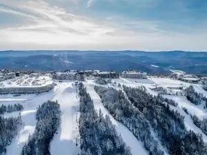 Stroll to Slopes, Village Area, Ski in-Out MtLodge 210