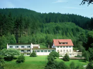 Waldpension Pfeiferhaus