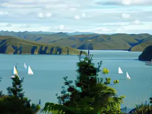 Waikare Cove