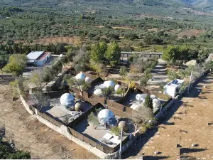 Zielo de Levante