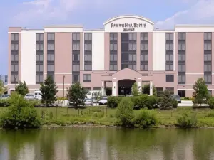 SpringHill Suites by Marriott Chicago Southwest at Burr Ridge/Hinsdale