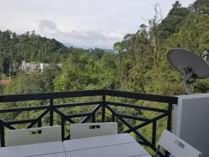 C3-3A-2 3R Apt ( walk up 1.5 floor from Ground  )