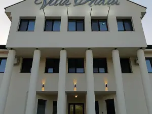Hotel Villa Ovidiu