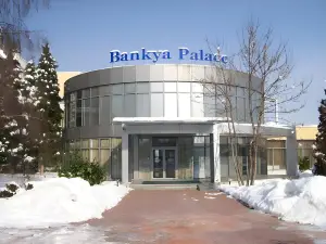 Hotel Bankya Palace