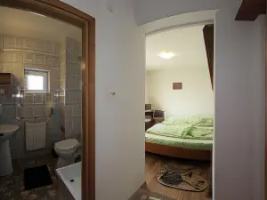 Pensiunea Pui de Urs Sirnea