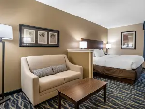 Comfort Inn & Suites Newark - Wilmington