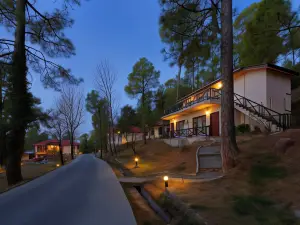 Arcadian Blue Pines