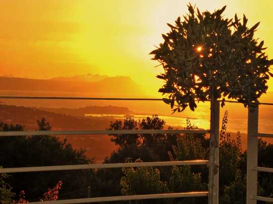 Villa Elia Promo Code