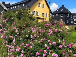 Hotel Im Kräutergarten