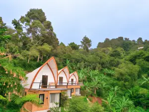 Selayang Olivehill - Kemewahan Glamping di Hutan