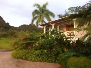 Monte Sagrado Reserve-100 Acres + Wellness + River Cabin by Redawning