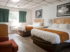 Bedford Motel