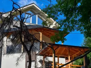 Stiv Apartmani