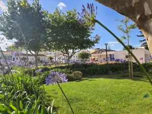 Ó da Casa-Typical Portuguese Guest House