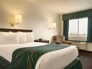 Travelodge by Wyndham Winslow