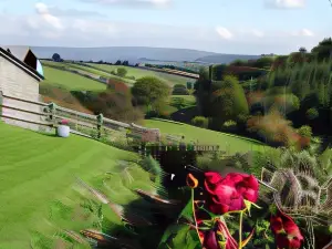 Middle Woodbatch B&B