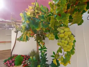 Guest House Deidda - TS Rooms B&B