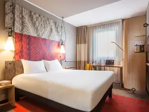 Ibis Copiapo