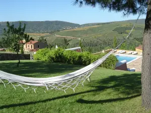 Quinta do Barrieiro - Art Selection by Maria Leal da Costa