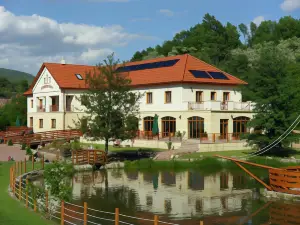 Aranybanya Hotel