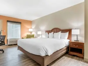 Econo Lodge Moss Point - Pascagoula