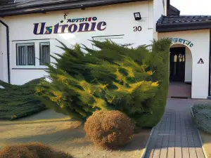 Ustronie