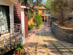 Essence of Nature, Ranikhet