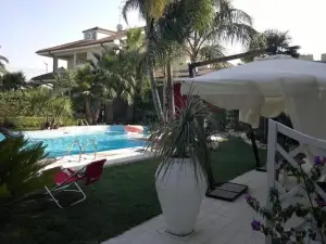 Hotel Novelli