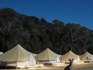Tathra Beach Eco Camp