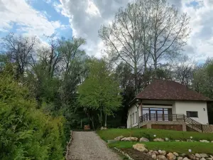 Provence Suceava