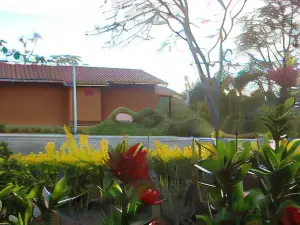 Los Cedros Resort & Convention Center