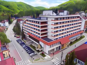 Hotel Olanesti & Spa Medical