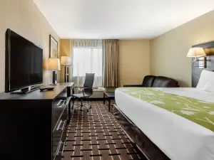 Econo Lodge Boaz
