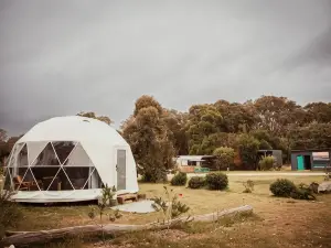 Boogaloo Camp