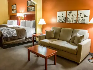 Comfort Inn & Suites Ashland – Richmond North