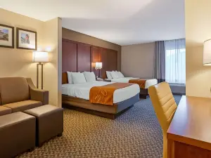 Comfort Suites South Haven Near I-96