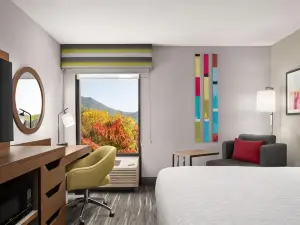 Hampton Inn Roanoke/Hollins-I-81