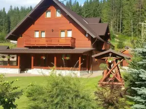 Pensiunea Putnisoara